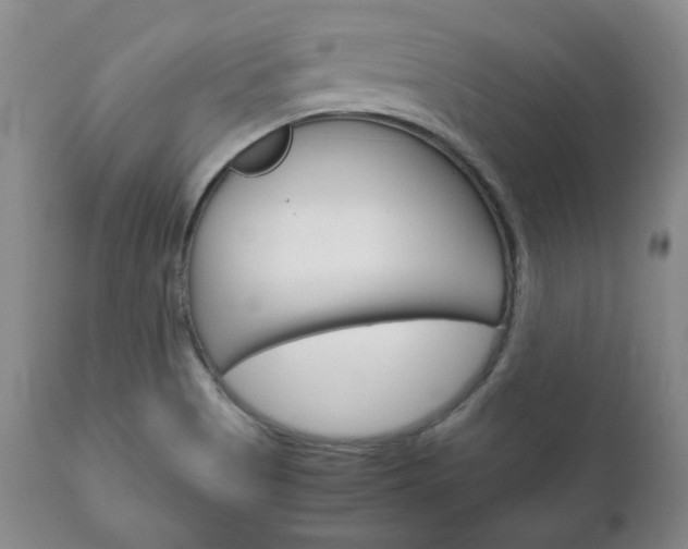 X0000111121513200906301030