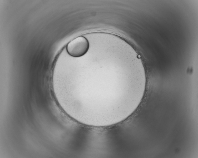 X0000111121514200906301030