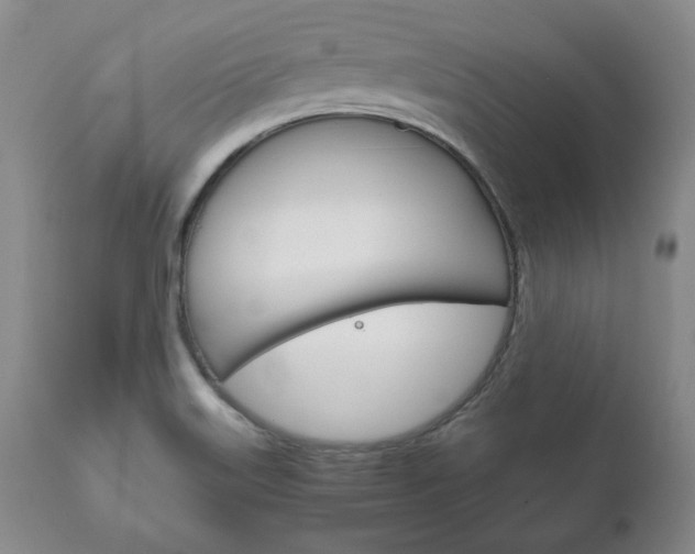 X0000111121515200906301030