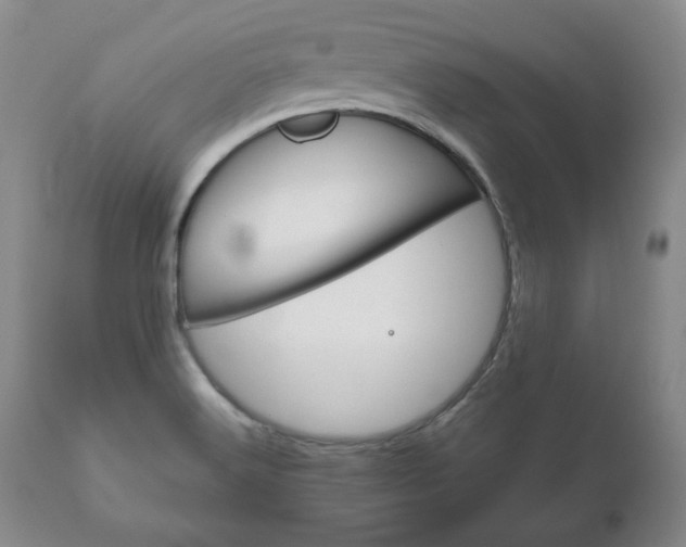 X0000111121516200906301030