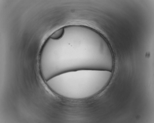 X0000111121517200906301030