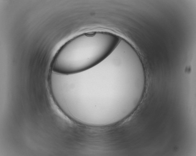 X0000111121518200906301030