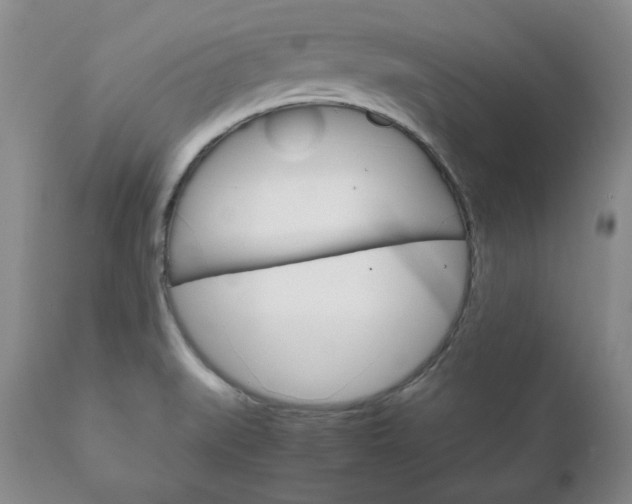 X0000111121519200906301030