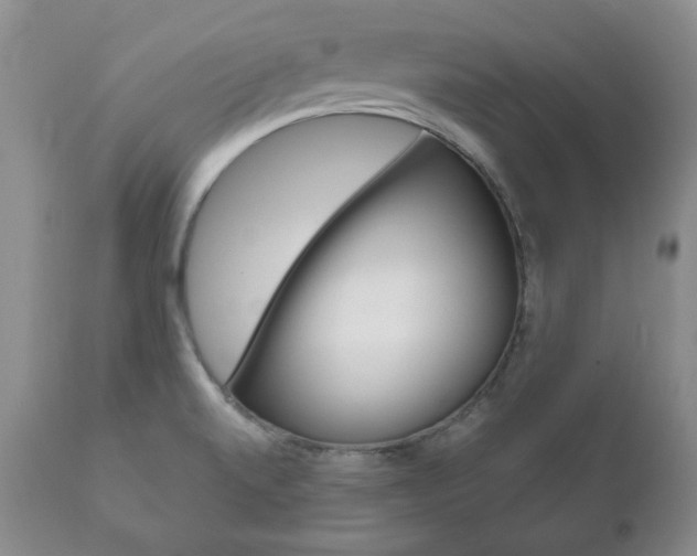 X0000111121520200906301030
