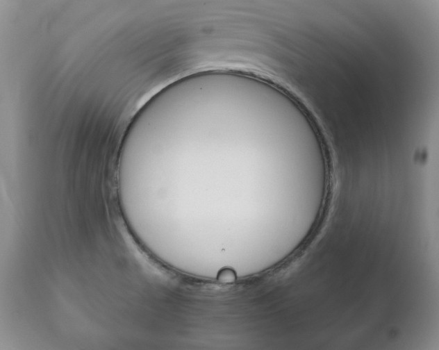 X0000111121521200906301030