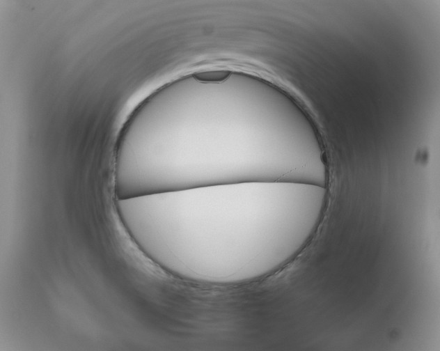 X0000111121522200906301030