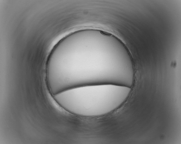 X0000111121523200906301030