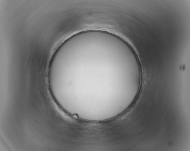 X0000111121525200906301030