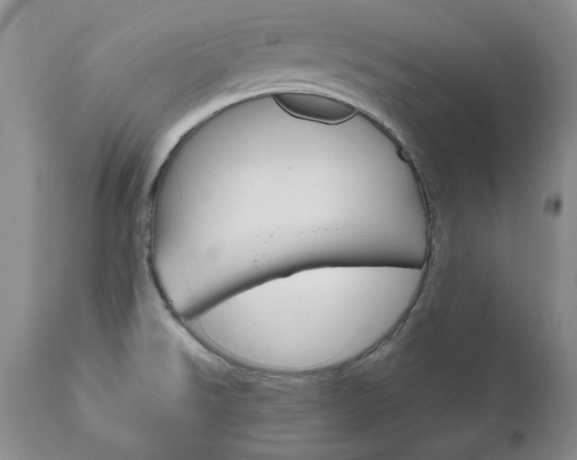 X0000111121526200906301030