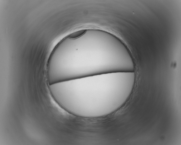 X0000111121527200906301030