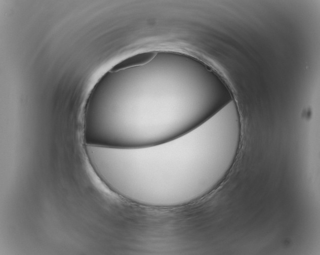 X0000111121528200906301030