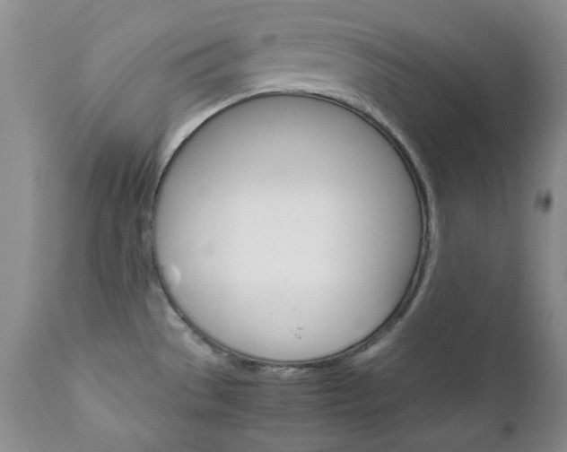 X0000111121529200906301030