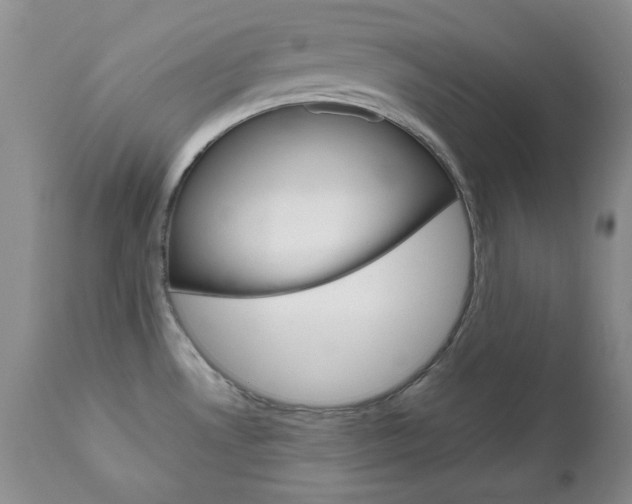 X0000111121530200906301030