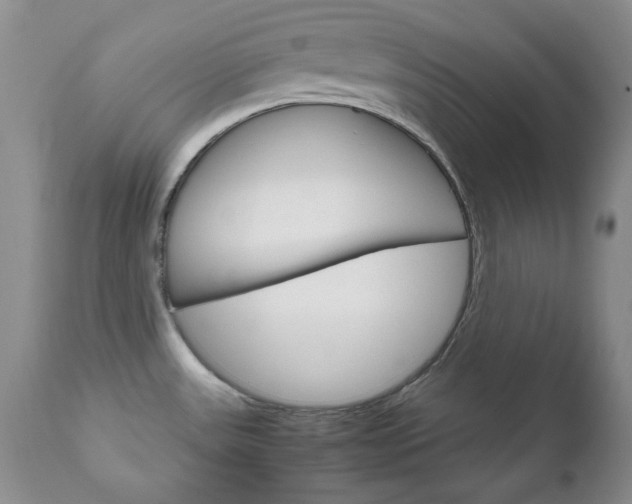 X0000111121531200906301030