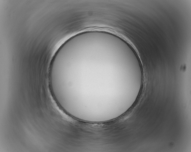 X0000111121533200906301030