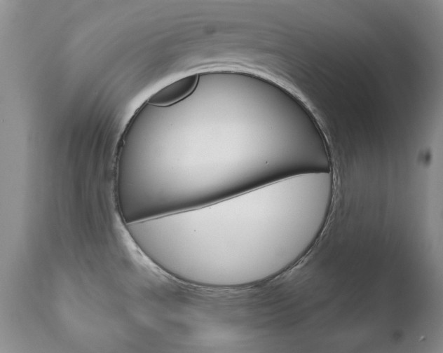 X0000111121534200906301030