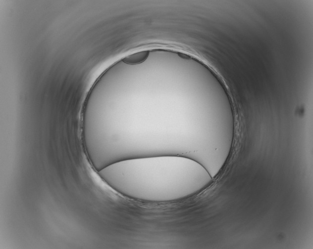 X0000111121535200906301030