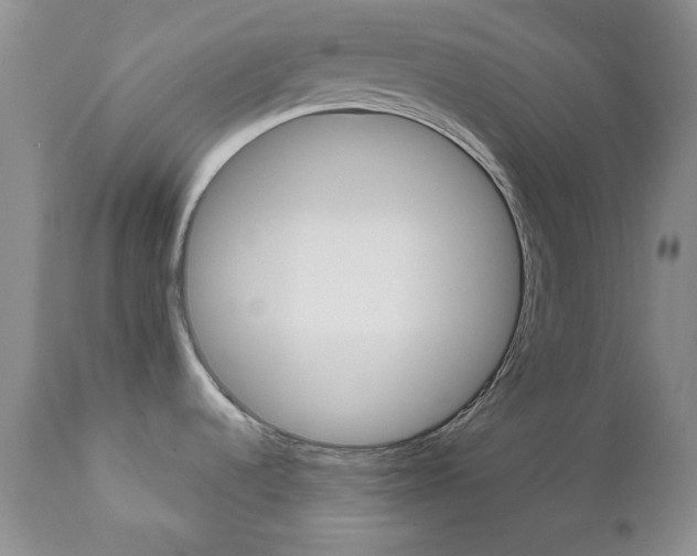 X0000111121536200906301030