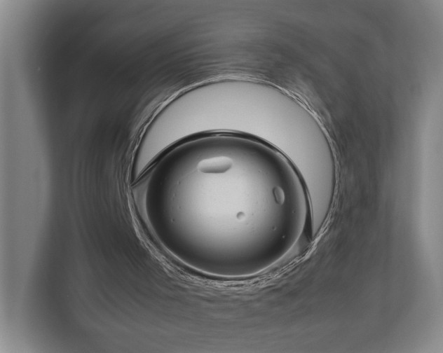 X0000111120001200906301320