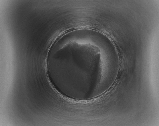 X0000111120002200906301320