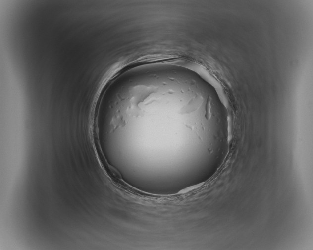 X0000111120003200906301320