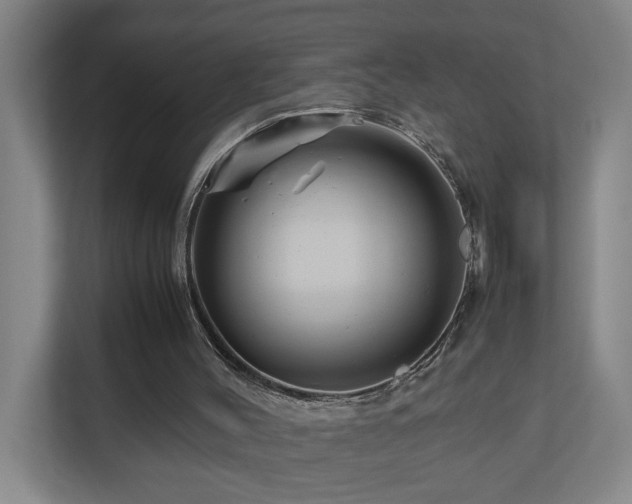 X0000111120004200906301320