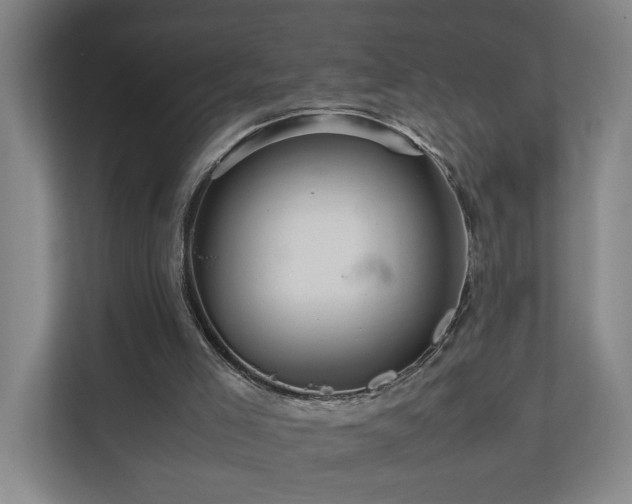 X0000111120005200906301320