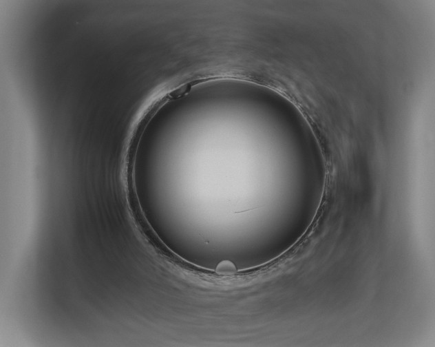 X0000111120006200906301320