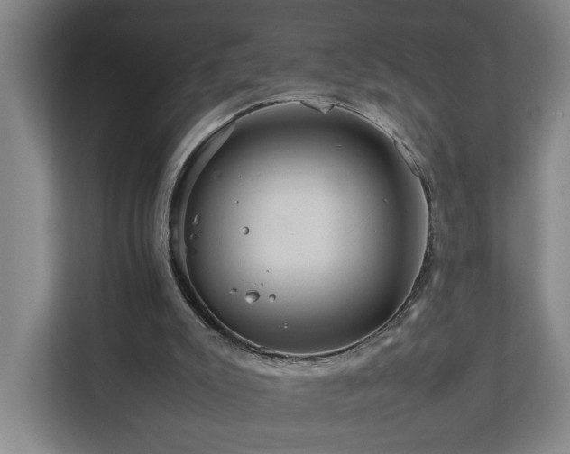 X0000111120007200906301320