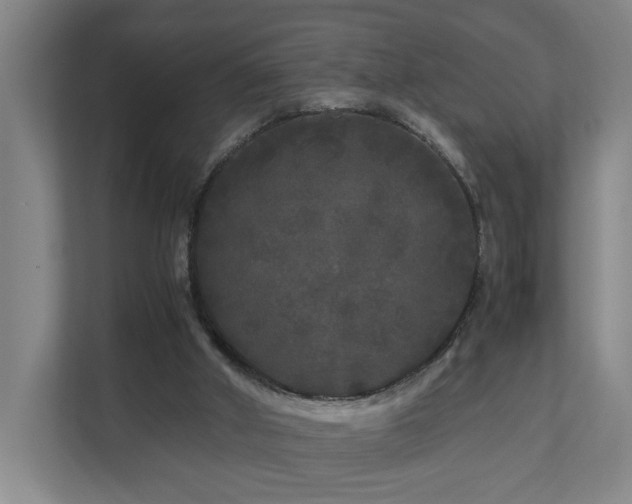 X0000111120010200906301320