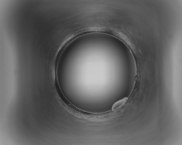 X0000111120011200906301320