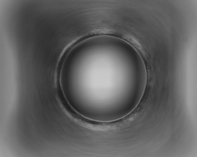 X0000111120012200906301320