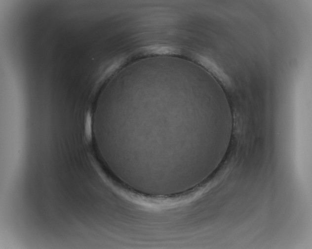 X0000111120014200906301320