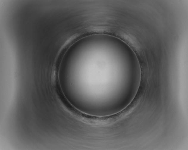 X0000111120016200906301320