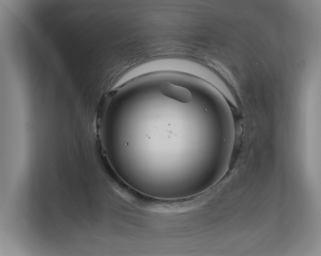 X0000111120017200906301320