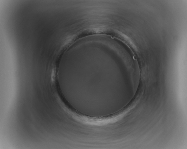 X0000111120018200906301320