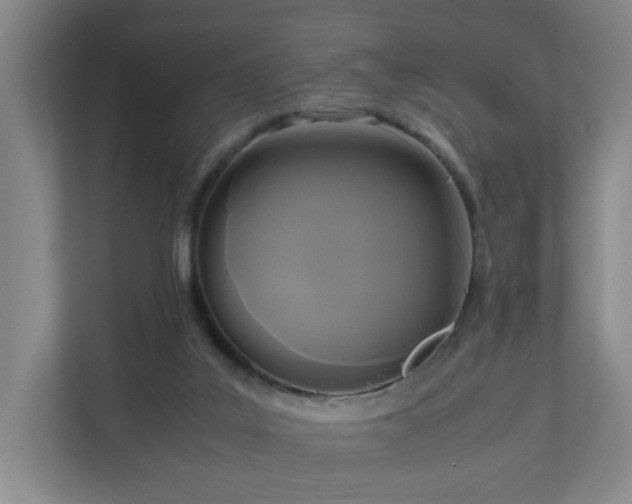 X0000111120019200906301320