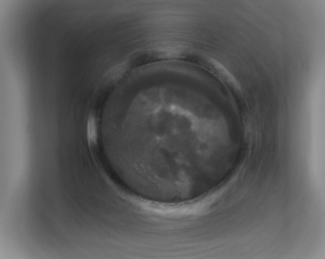 X0000111120026200906301320