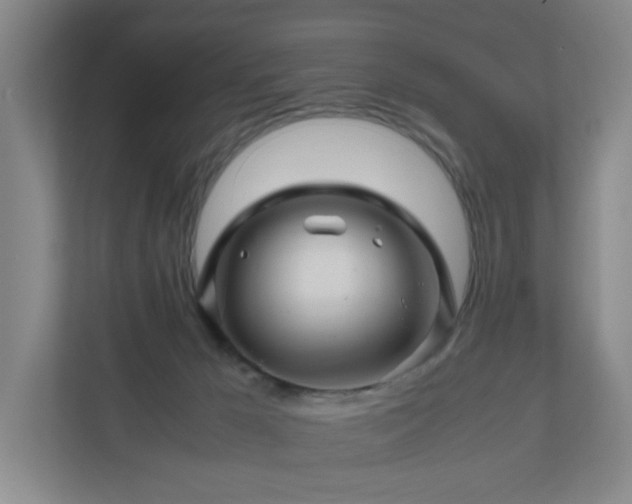 X0000111120029200906301320