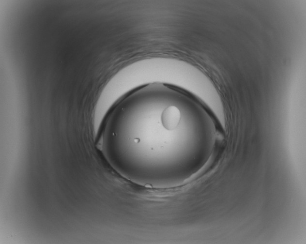 X0000111120033200906301319