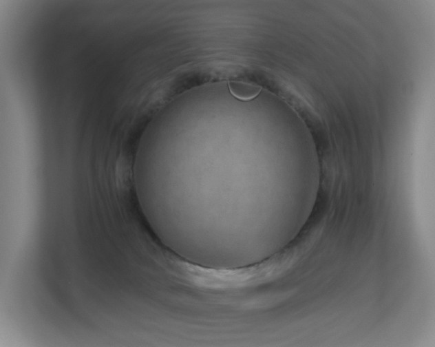 X0000111120034200906301319