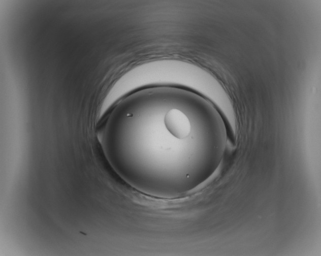 X0000111120035200906301319