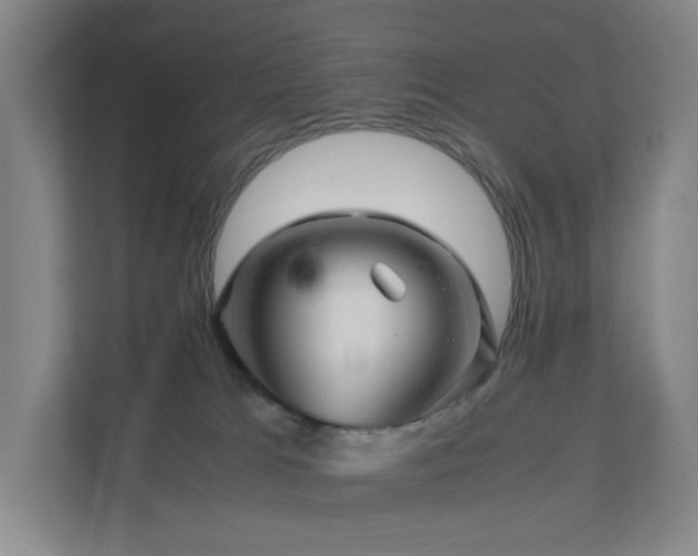 X0000111120037200906301319