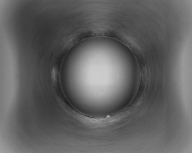 X0000111120038200906301319