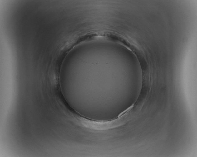 X0000111120039200906301319