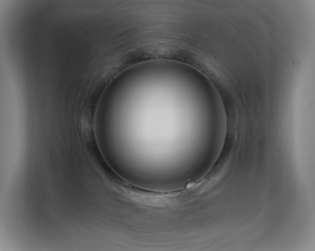 X0000111120040200906301319