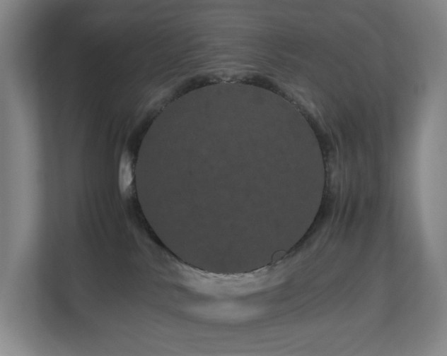 X0000111120042200906301319