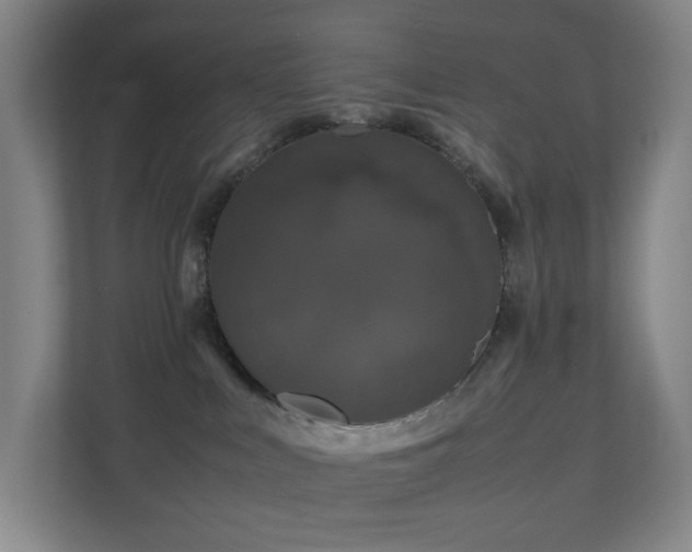 X0000111120043200906301319