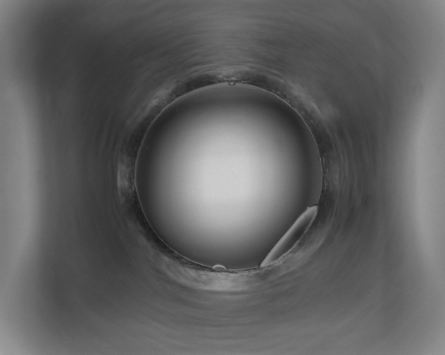 X0000111120044200906301319