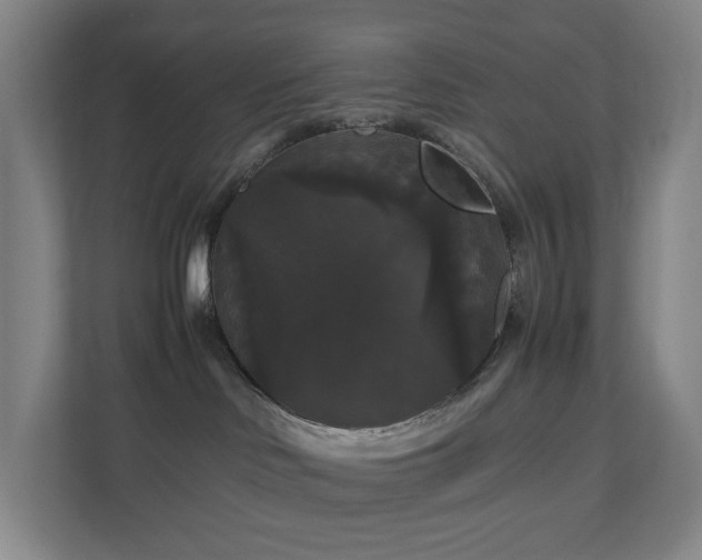 X0000111120046200906301319